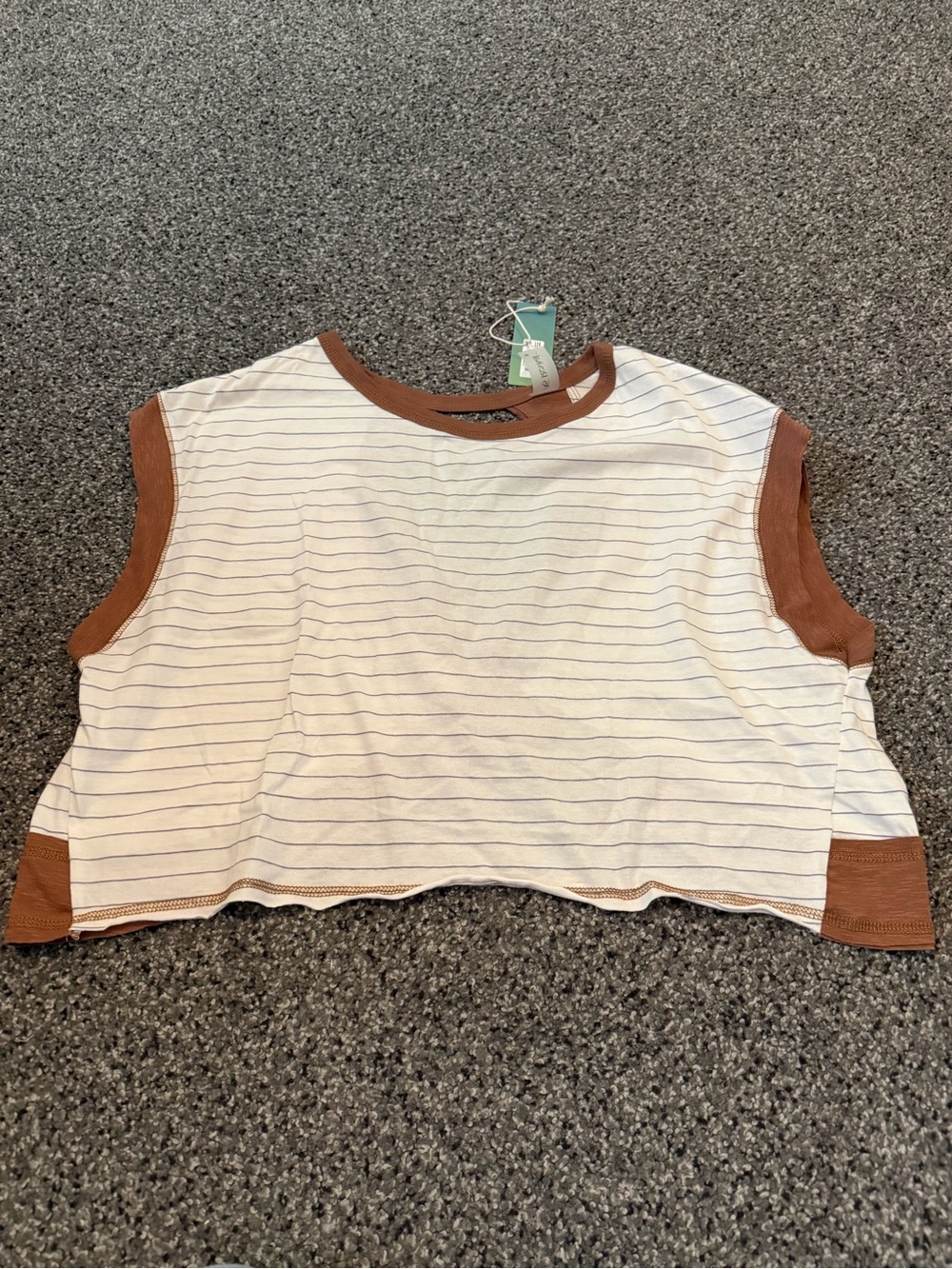 Altar'd State Cream Striped Short Sleeve Tee with Brown Trim